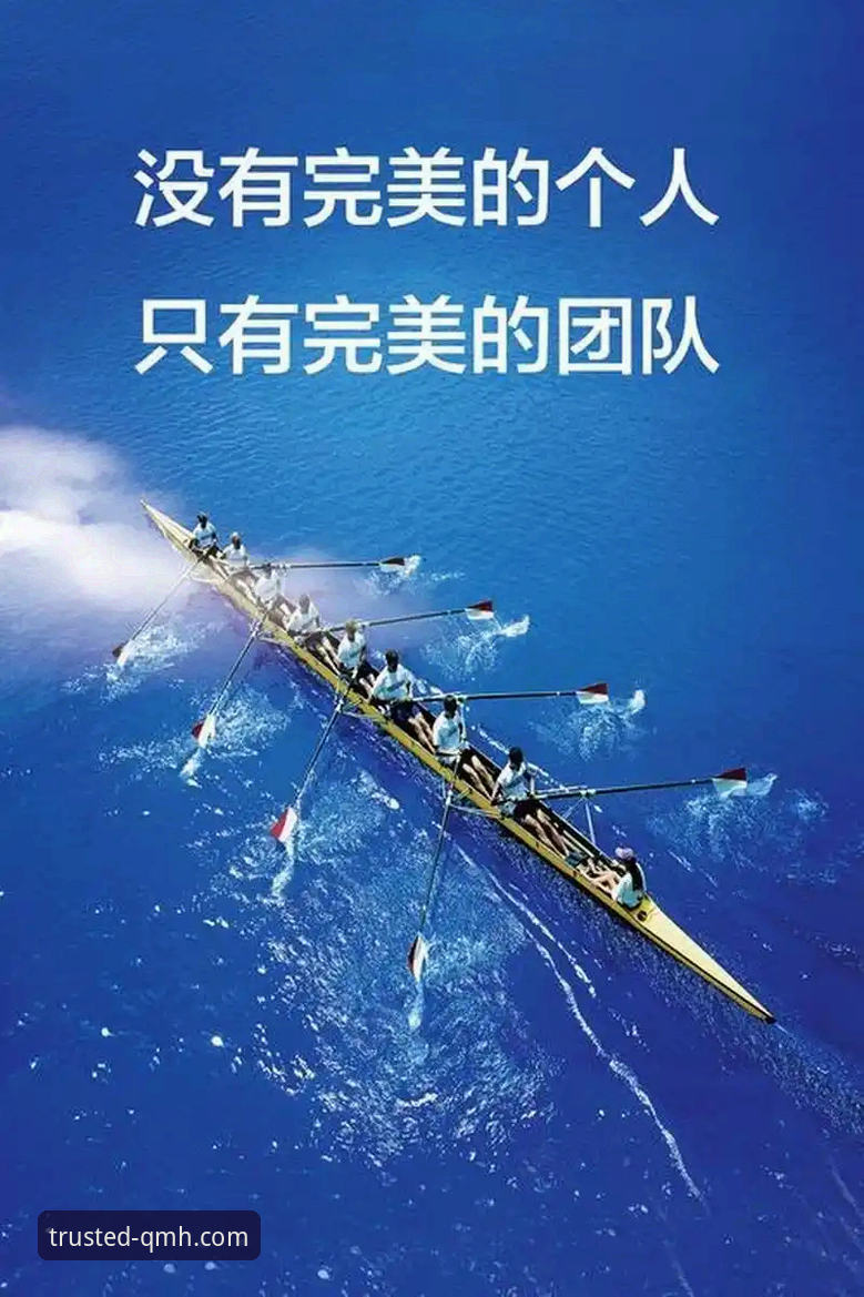 球盟会官网入口下载最新版 球盟会官方平台最新版下载全面解析:从安装到实战的完整指南