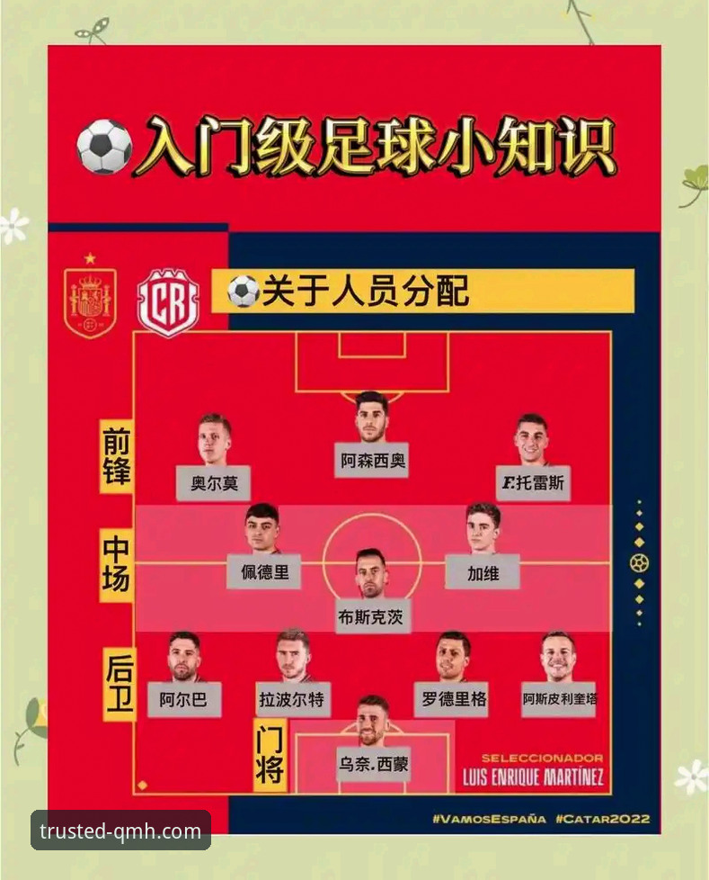世界杯洲际附加赛观赛体验与深度分析教程